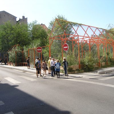 image (7)